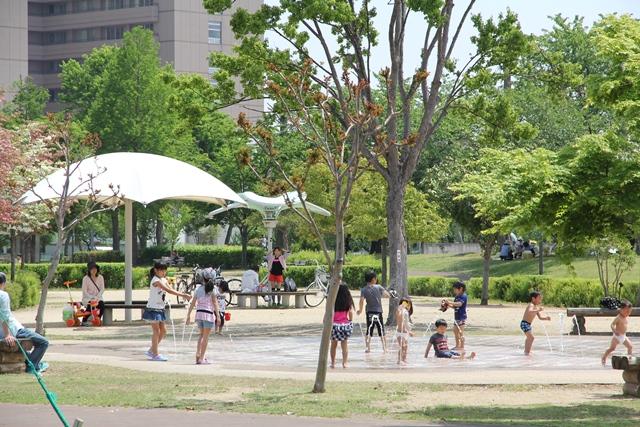 公園写真