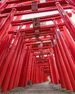 小泉稲荷神社(小泉町)