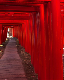 小泉稲荷神社(小泉町)