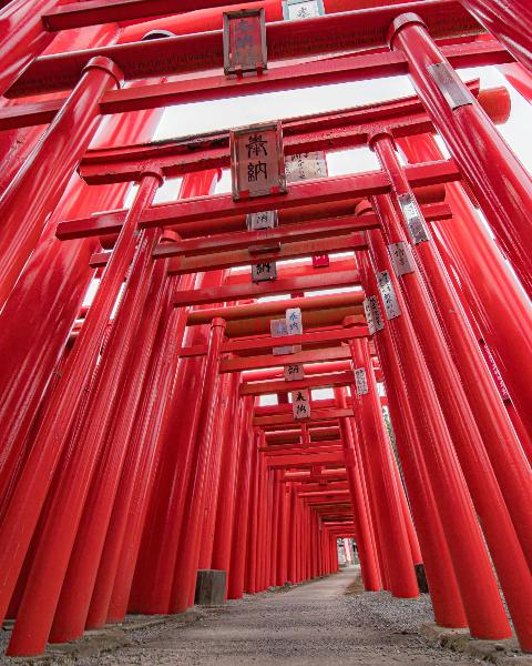 小泉稲荷神社の鳥居の写真