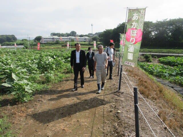 0713蓮園視察