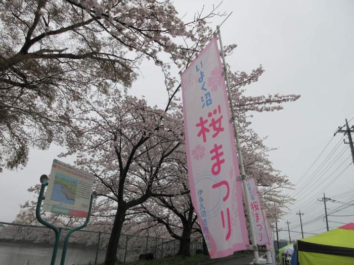 いよく沼桜まつりの様子