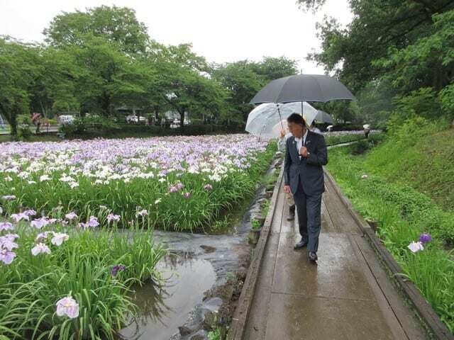 赤堀花しょうぶ園視察の様子