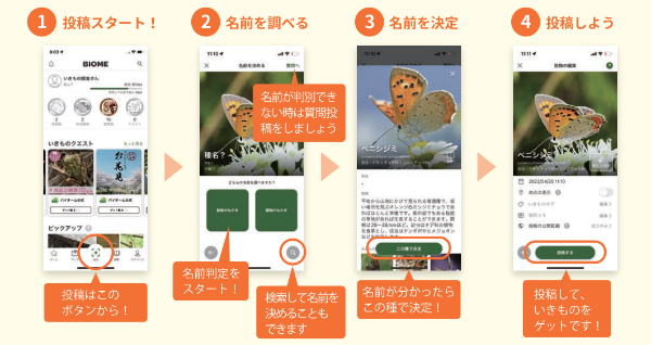 バイオームの使い方を示した画像