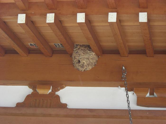 7月~8月頃の軒下にあるスズメバチの巣の画像