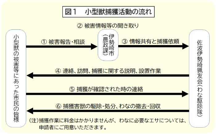 小型獣捕獲活動の流れ