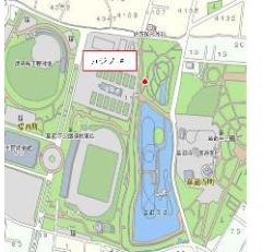 華蔵寺公園のカジノキの位置図