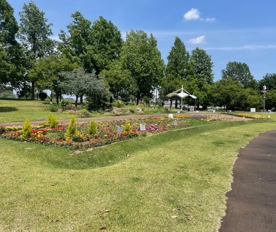 西部公園コミュニティガーデン事業の予数