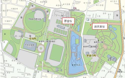 花の位置を示す画像