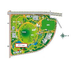 いせさき市民のもり公園の銀杏の位置図