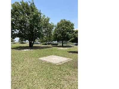 平塚公園のテントサイト