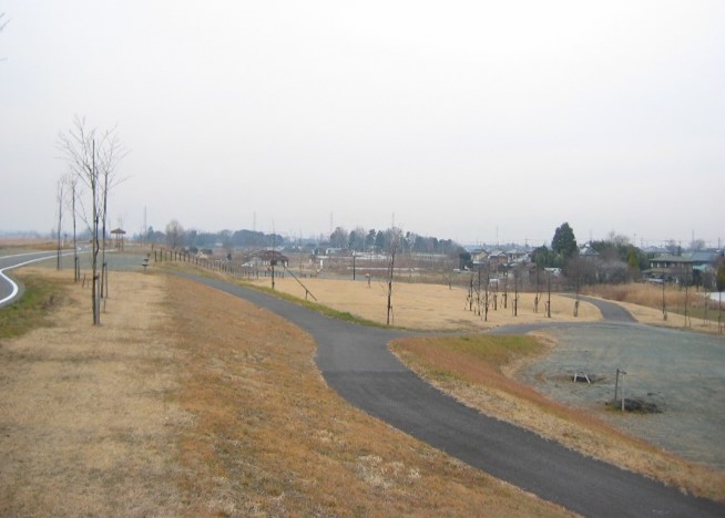 利根川水辺プラザ公園の園内の様子