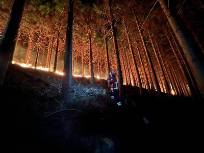 活動にあたる職員の様子の写真