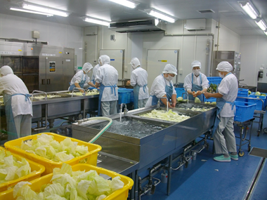 野菜の下処理をしている写真