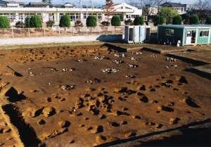 礎石建物跡全体を望む写真