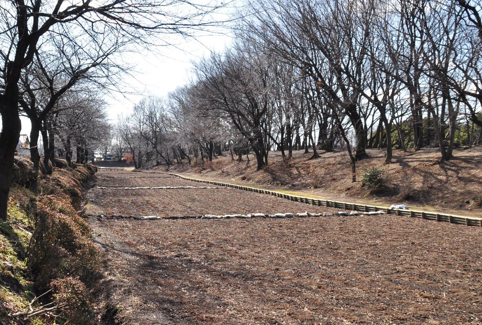 埋まった堀跡(中央)と掘削排土(奥)の写真
