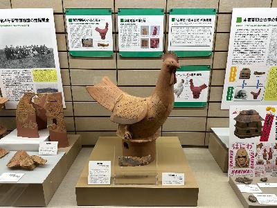 展示されている鶏形埴輪を正面から撮影した写真