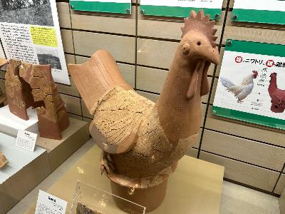 鶏形埴輪の顔がアップになるように撮影した全身写真