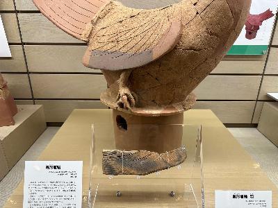 鶏形埴輪の羽の部分をアップで撮影した写真