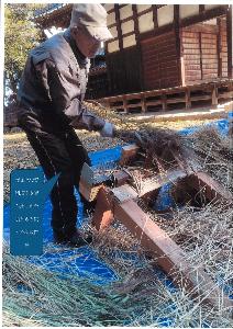 赤堀歴史民俗資料館がお貸しした千歯こきで脱穀を行っている様子