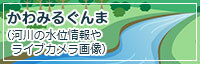 かわみるぐんま(河川の水位情報やライブカメラ関連)の画像