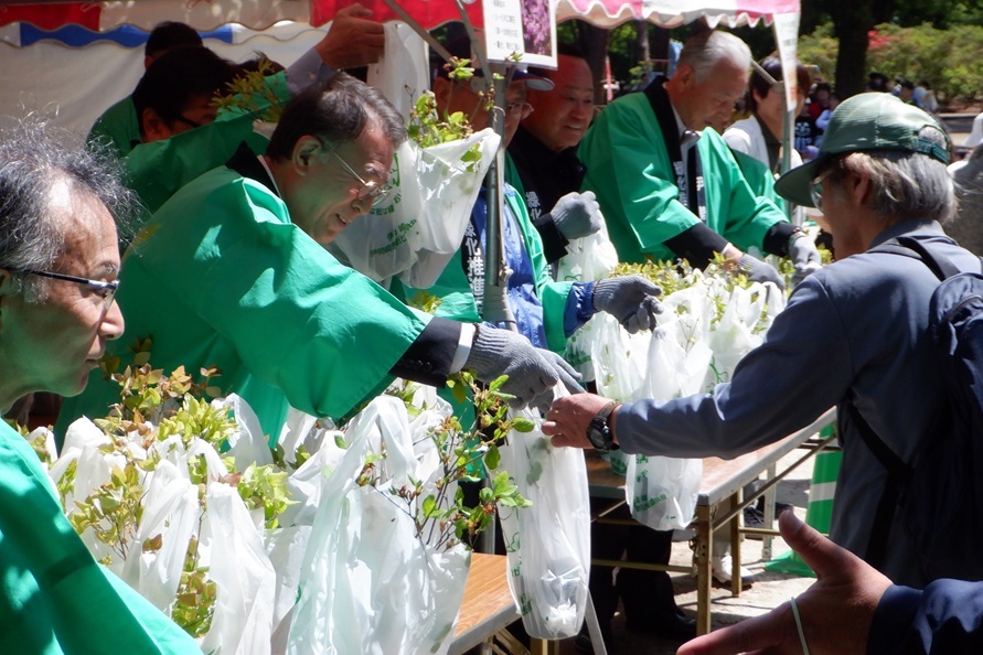 苗木の無償配布