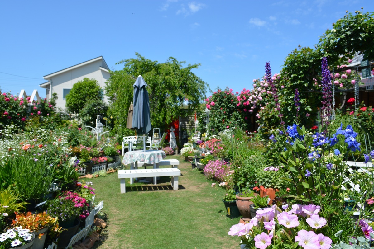 オープンガーデンいせさきの参加者のお庭の写真の一例です。