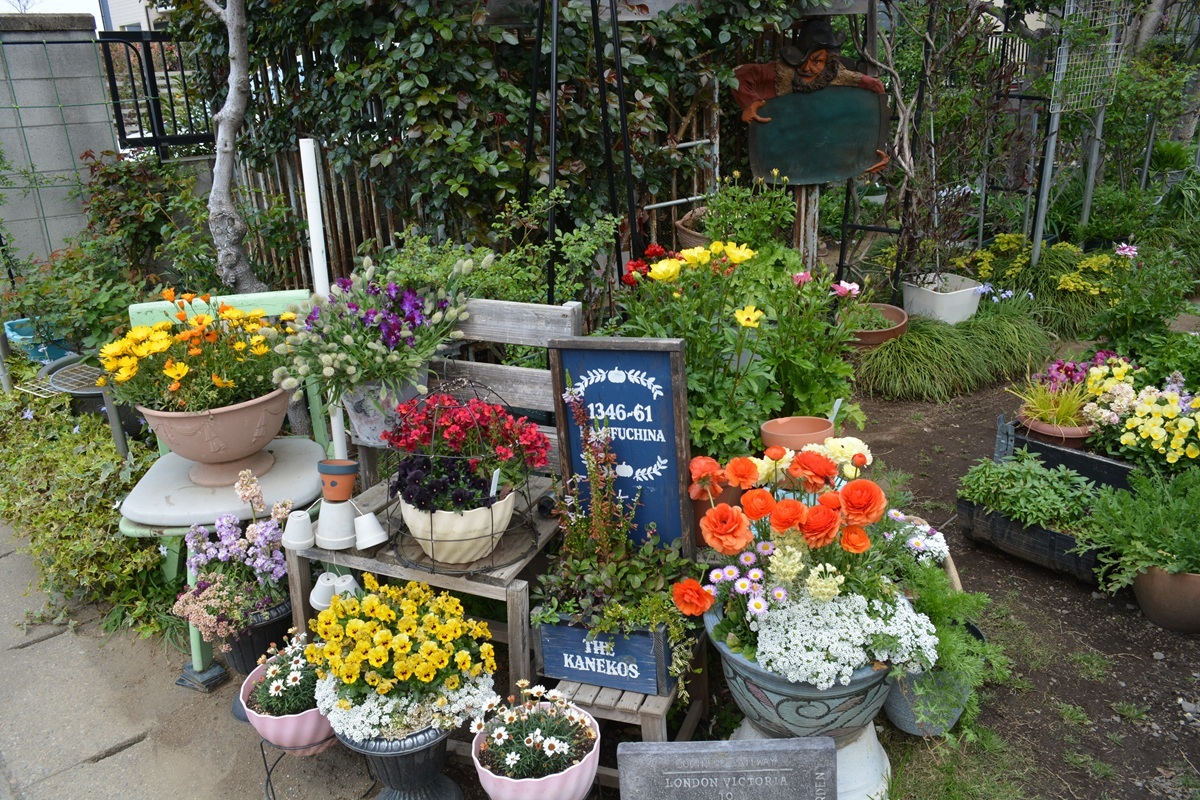 第14回オープンガーデンいせさきの参加者のお庭の写真の一例です。