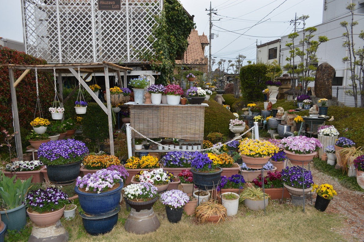 第14回オープンガーデンいせさきの参加者のお庭の写真の一例です。