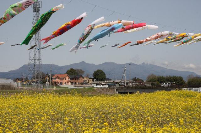 自然環境保全・省エネ推進の分野の風景写真