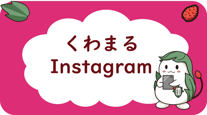 くわまるインスタグラム