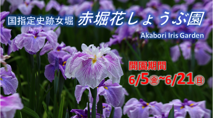 赤堀花しょうぶ園の開園をお知らせする画像