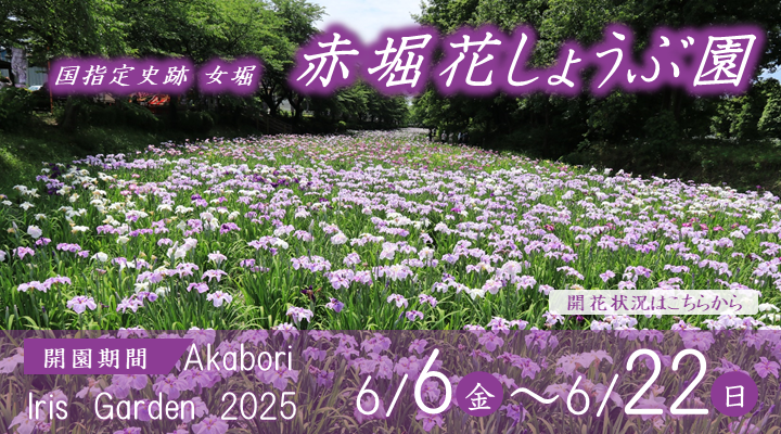 赤堀花しょうぶ園開園のスライダー画像