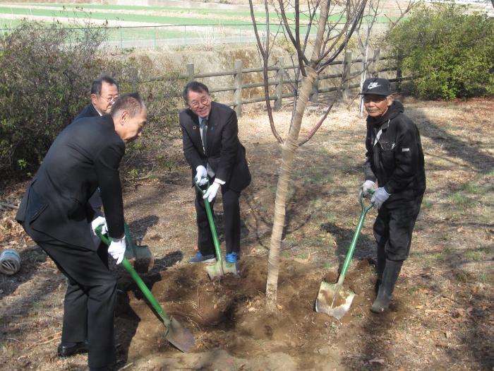赤堀いこいの森公園桜を守る会桜の植樹の様子