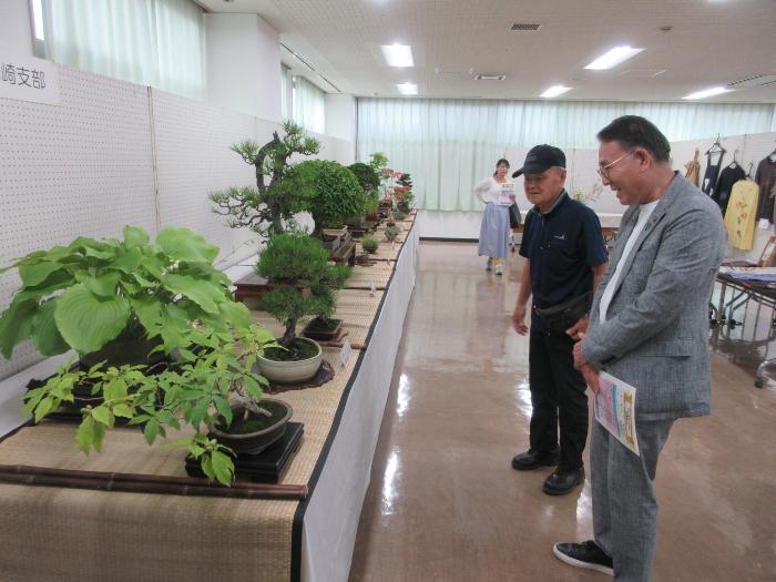 ふくしプラザフェスティバルでの盆栽展示の様子