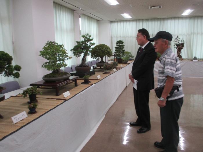 第52回秋の盆栽展の様子