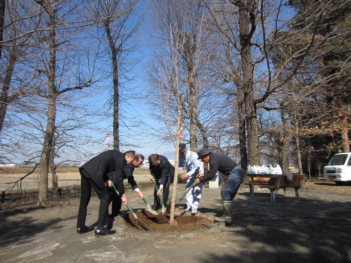 赤堀いこいの森公園を守る会による桜の植樹の様子