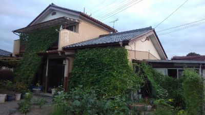 グリーンカーテンコンテスト作品
