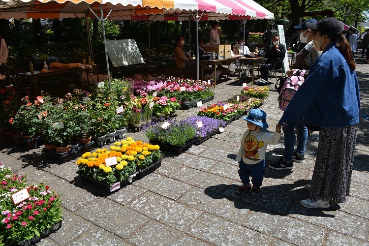 グリーンフェスタ2019での植木市の写真。