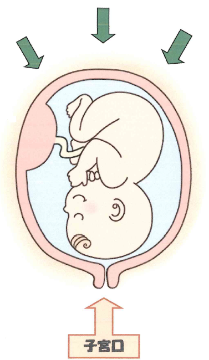 子宮内の子どものイラスト