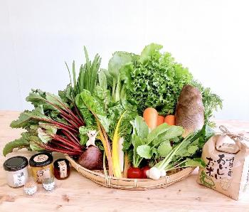 野菜