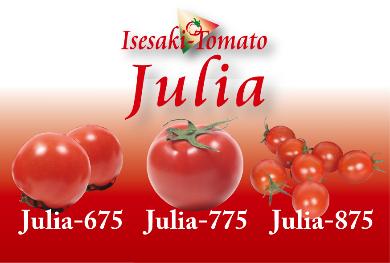 伊勢崎トマト「ジュリア」の写真
