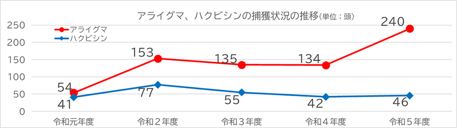 捕獲数の推移