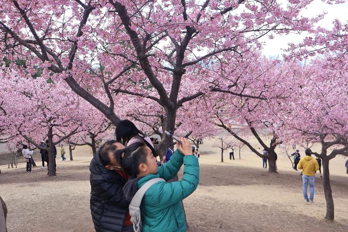 親子スマホ写真体験の様子