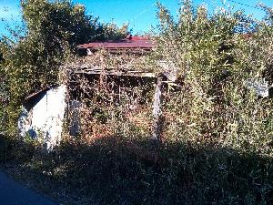 公表用写真(境栄182-1)