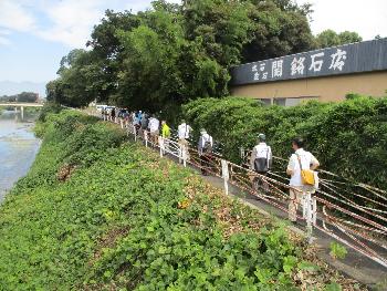 広瀬川の川岸を歩く参加者の様子