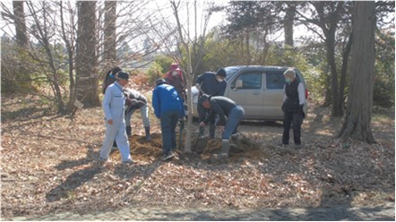 桜並木を次世代にも