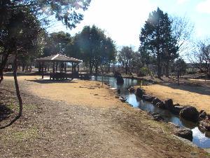 せせらぎ公園写真