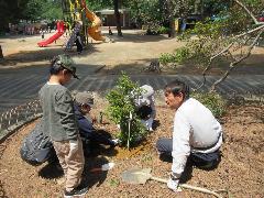 補植作業の様子