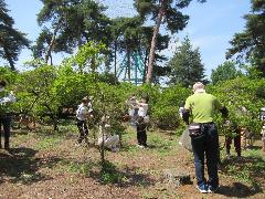 作業を行う様子